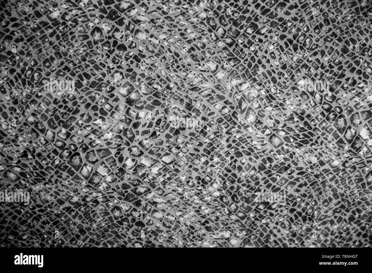 Snake textured stampare sul materiale di moda. Andamento dell'anno. In bianco e nero Foto Stock