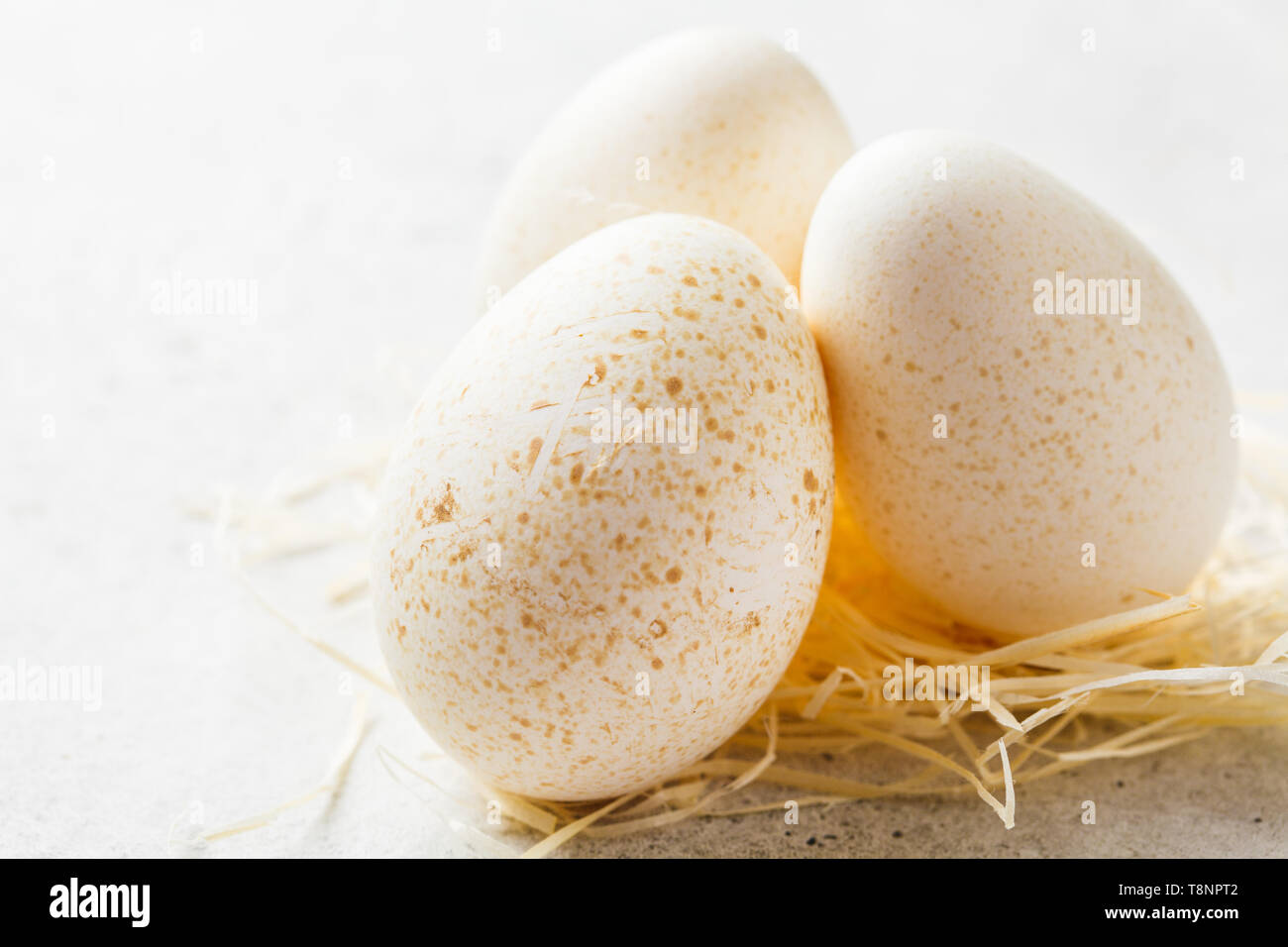 Le uova di tacchino con del fieno su sfondo grigio. Foto Stock