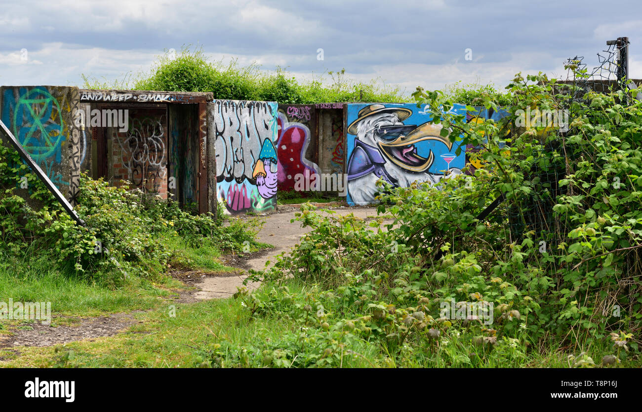 Storica WW2 Purdown pesanti anti-aerei batteria per la protezione della città di Bristol, ora abbandonata e coperto di graffiti e brambles Foto Stock