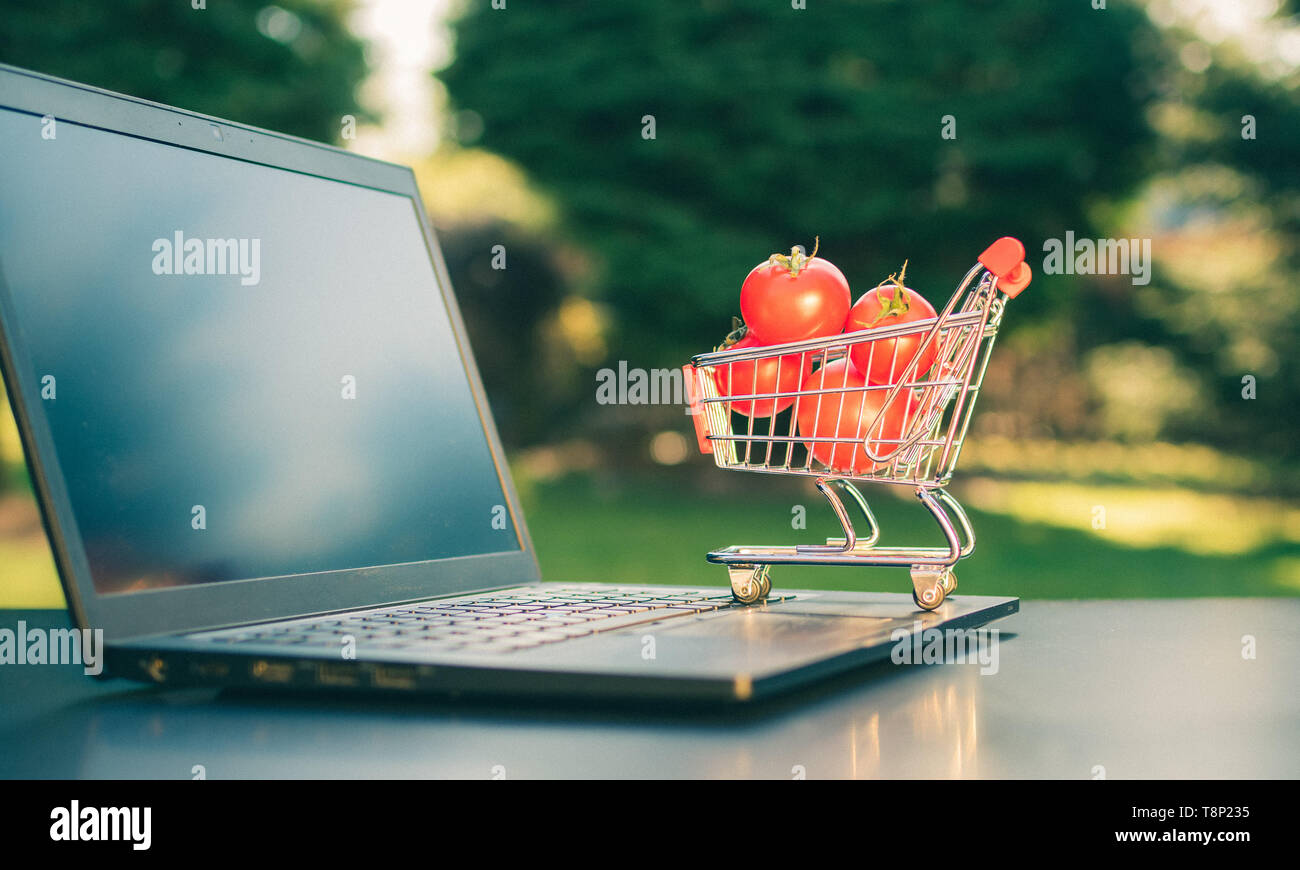 Concetto di on-line negozi di alimentari. Una miniatura del carrello con i pomodori è un permanente di un notebook. Foto Stock Concetto di on-line negozi di alimentari. Una miniatura del carrello con i pomodori è un permanente di un notebook. Foto Stock