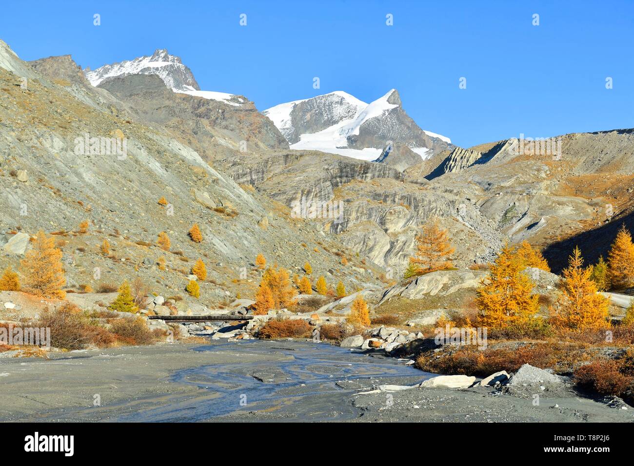 La Svizzera nel canton Vallese, Zermatt, Findelntal (Findeln valley) con Rimpfischhorn Strahlhorn e picchi Foto Stock