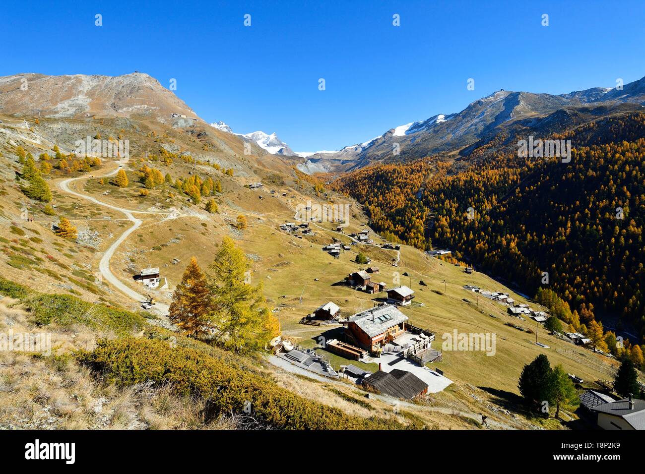 La Svizzera nel canton Vallese, Zermatt, frazione Findeln ai piedi del Cervino, vertice Strahlhorn e Adlerhorn Foto Stock