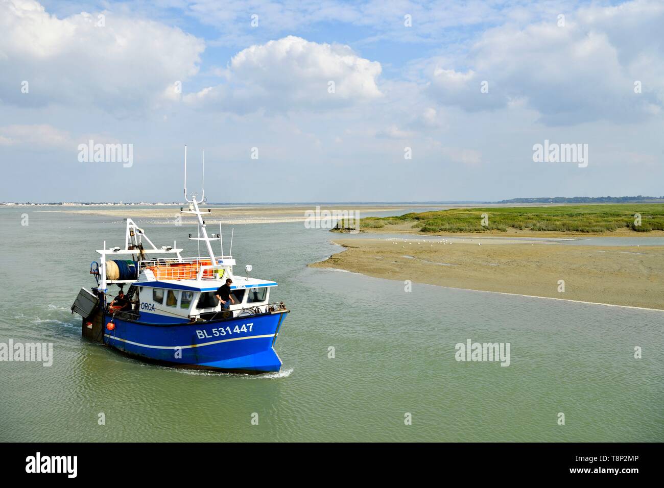 Francia, Somme, Cayeux-sur-Mer, Le Hourdel, piccolo porto di pesca del sud della baia della Somme Foto Stock