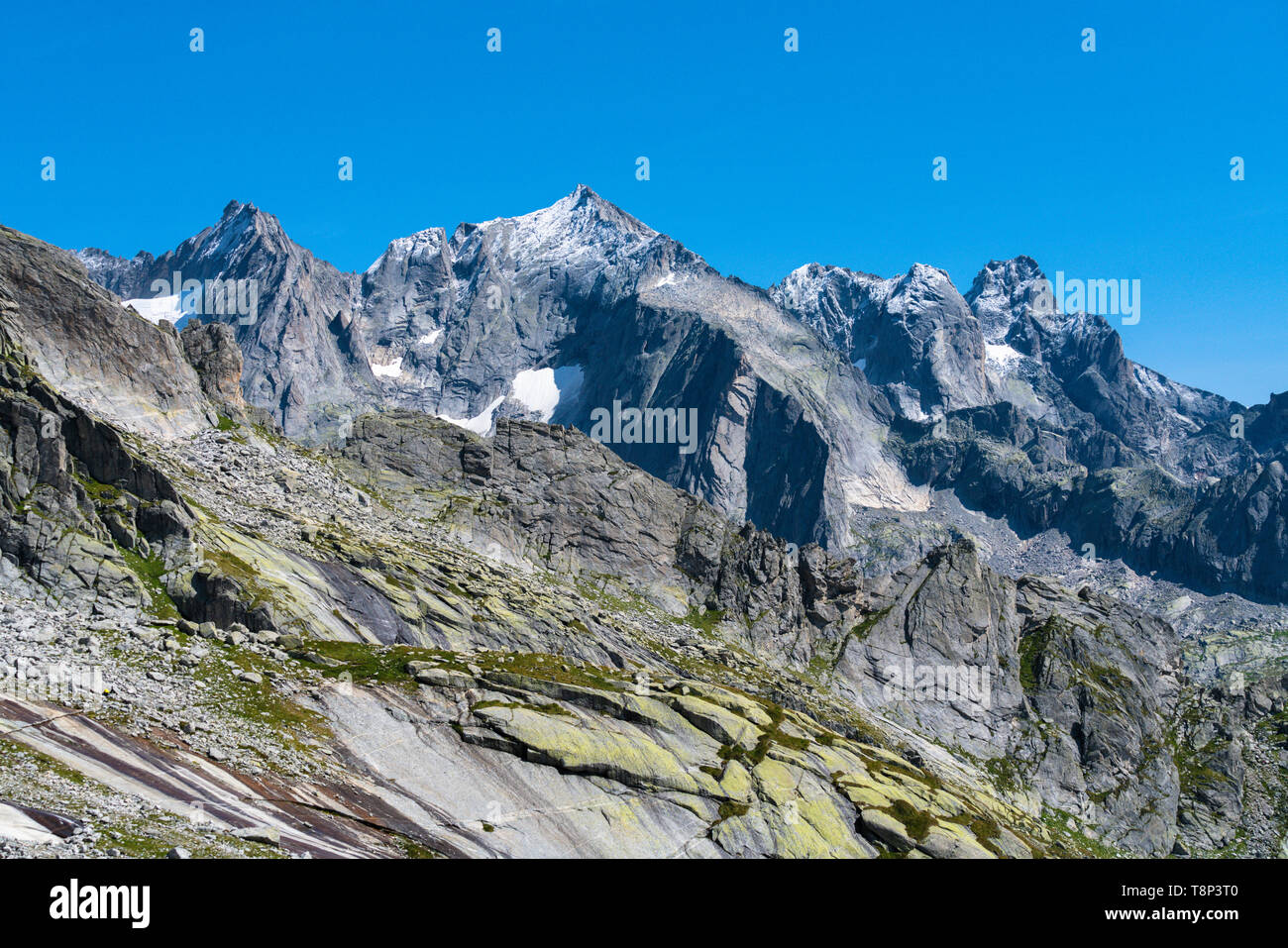 Punta rasica immagini e fotografie stock ad alta risoluzione - Alamy