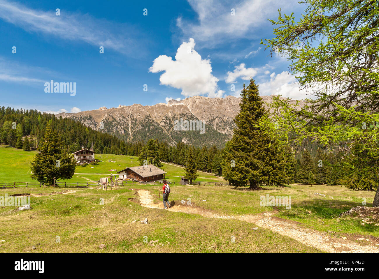 Escursionista sul sentiero di malga Glatsch, Puez Odle, Dolomiti, Funes, Provincia Autonoma di Bolzano Alto Adige - Italia Foto Stock