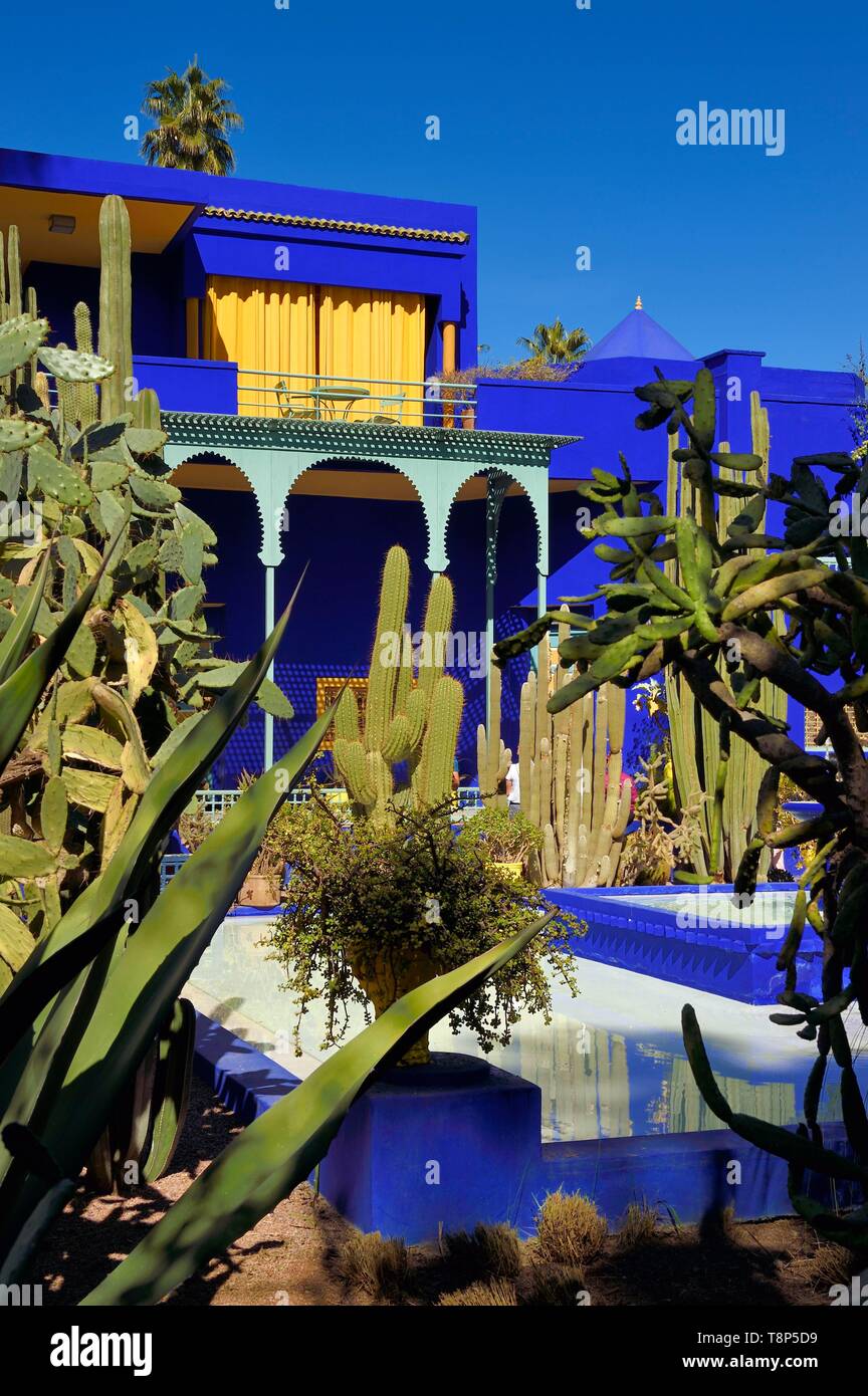 Il Marocco, Alto Atlante, Marrakech città imperiale, quartiere di Gueliz, Giardino Majorelle fondata nel 1931 dal pittore francese Jacques Majorelle di 1980 e acquistato da Yves Saint Laurent e Pierre Berge Foto Stock