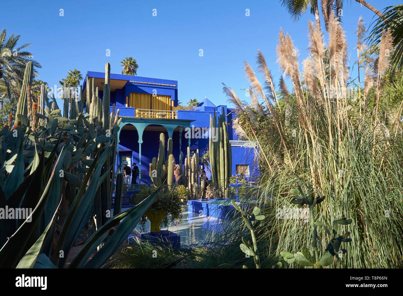 Il Marocco, Alto Atlante, Marrakech, quartiere di Gueliz, Villa artista Workshop e Museo Berbera Giardino Majorelle Foto Stock