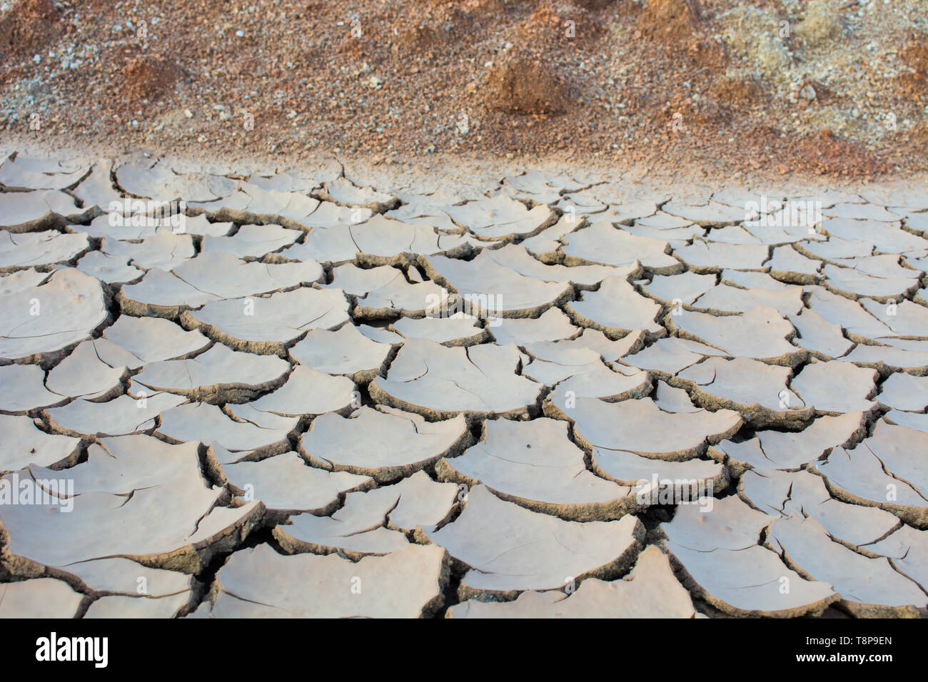 La siccità, il riscaldamento globale, l'ambiente cambia improvvisamente. Foto Stock