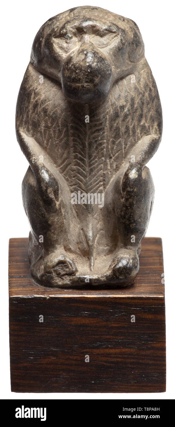 Una piccola e antica egiziana scultura in pietra di Thoth come babbuino, tardo periodo, seconda metà del primo millennio A.C. la figura del dio come seduta scimmia, avambracci e mani appoggiate sulle sue cosce e ginocchia. La struttura del rivestimento e la criniera espressa da raffinate incisioni. Moderna base in legno. Altezza senza base 4,8 cm. Estremamente finemente, affascinante opera d'arte. Provenienza: anni settanta collezione privata dalla zona di Monaco. storica, storica mondo antico, Additional-Rights-Clearance-Info-Not-Available Foto Stock