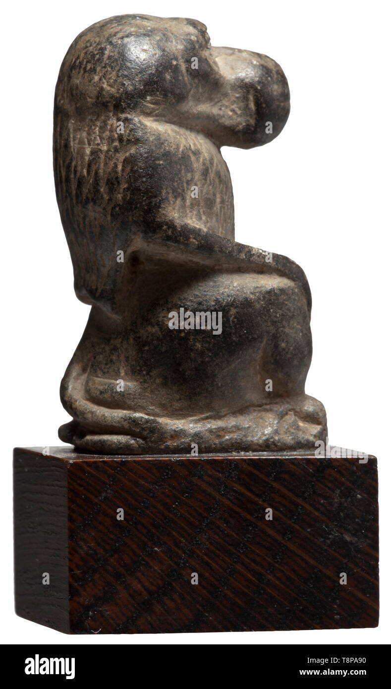Una piccola e antica egiziana scultura in pietra di Thoth come babbuino, tardo periodo, seconda metà del primo millennio A.C. la figura del dio come seduta scimmia, avambracci e mani appoggiate sulle sue cosce e ginocchia. La struttura del rivestimento e la criniera espressa da raffinate incisioni. Moderna base in legno. Altezza senza base 4,8 cm. Estremamente finemente, affascinante opera d'arte. Provenienza: anni settanta collezione privata dalla zona di Monaco. storica, storica mondo antico, Additional-Rights-Clearance-Info-Not-Available Foto Stock
