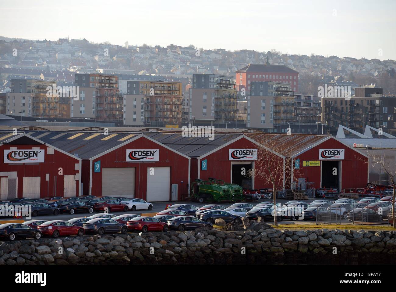Tesla 3 elettro automobili su un molo nel porto di Trondheim | Utilizzo di tutto il mondo Foto Stock