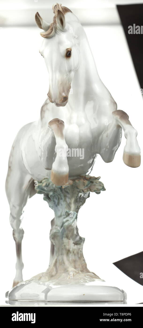 Cavallo Rampante Immagini E Fotos Stock Alamy