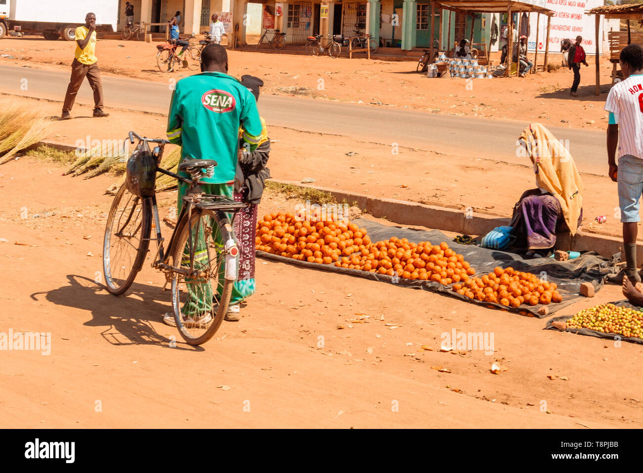Donna malawiana vendita di pomodori dal lato di una strada in Dedza Malawi Foto Stock