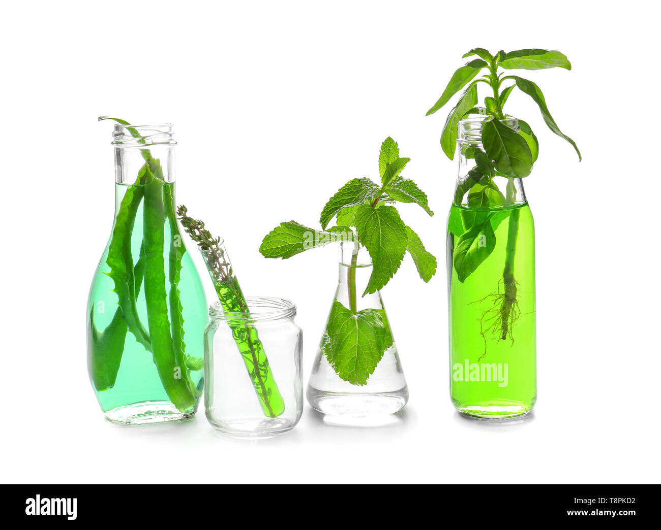 Bottiglie, jar e pallone con diverse piante su sfondo bianco Foto Stock
