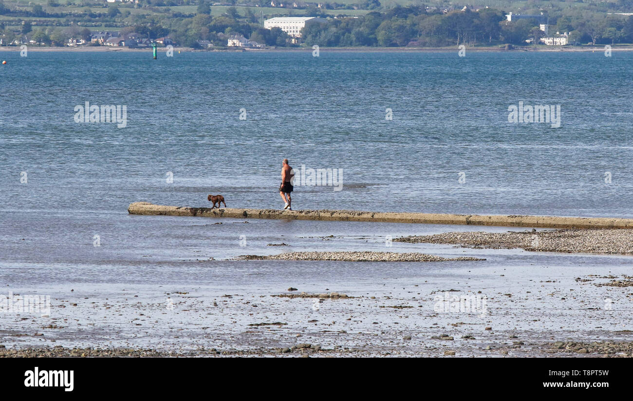 Belfast Lough, Holywood, County Down, settentrionale, Irlanda. 14 Maggio, 2019. Regno Unito - previsioni del tempo - un giorno caldo e soleggiato al litorale con cielo blu su Belfast Lough. Credito: David Hunter/Alamy Live News Foto Stock