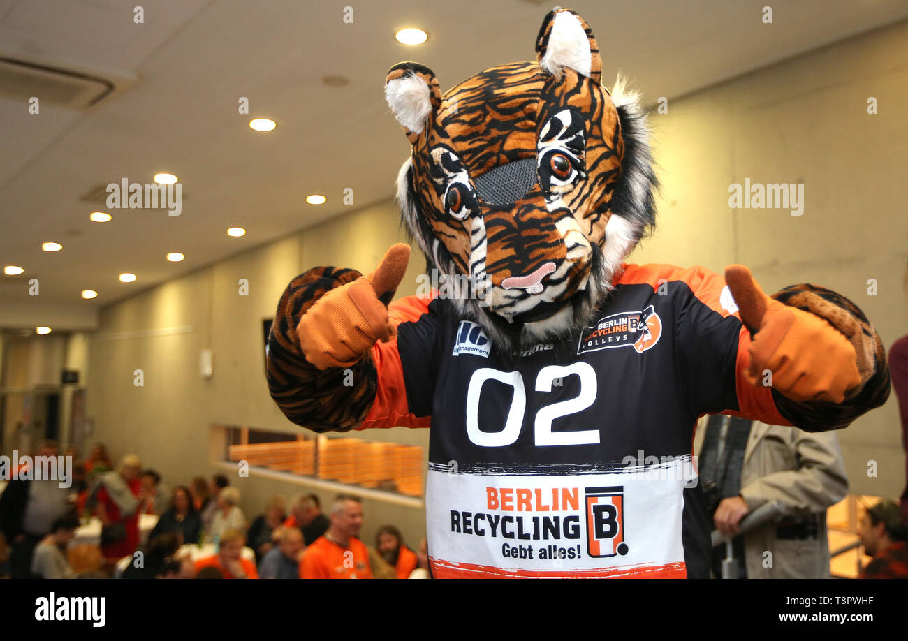 Berlino, Germania. 14 Maggio, 2019. Pallavolo: Bundesliga, il finale di stagione celebrazione BR Volleys. Berlinese di mascotte Charly mostra Thumbs up. Credito: Andreas Gora/dpa/Alamy Live News Foto Stock