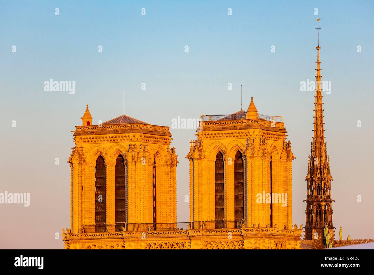 Francia, Parigi, zona elencata come patrimonio mondiale dall'UNESCO, la cattedrale di Notre Dame Foto Stock