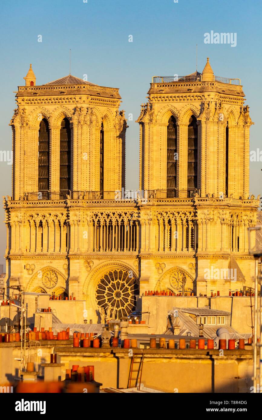 Francia, Parigi, zona elencata come patrimonio mondiale dall'UNESCO, la cattedrale di Notre Dame Foto Stock