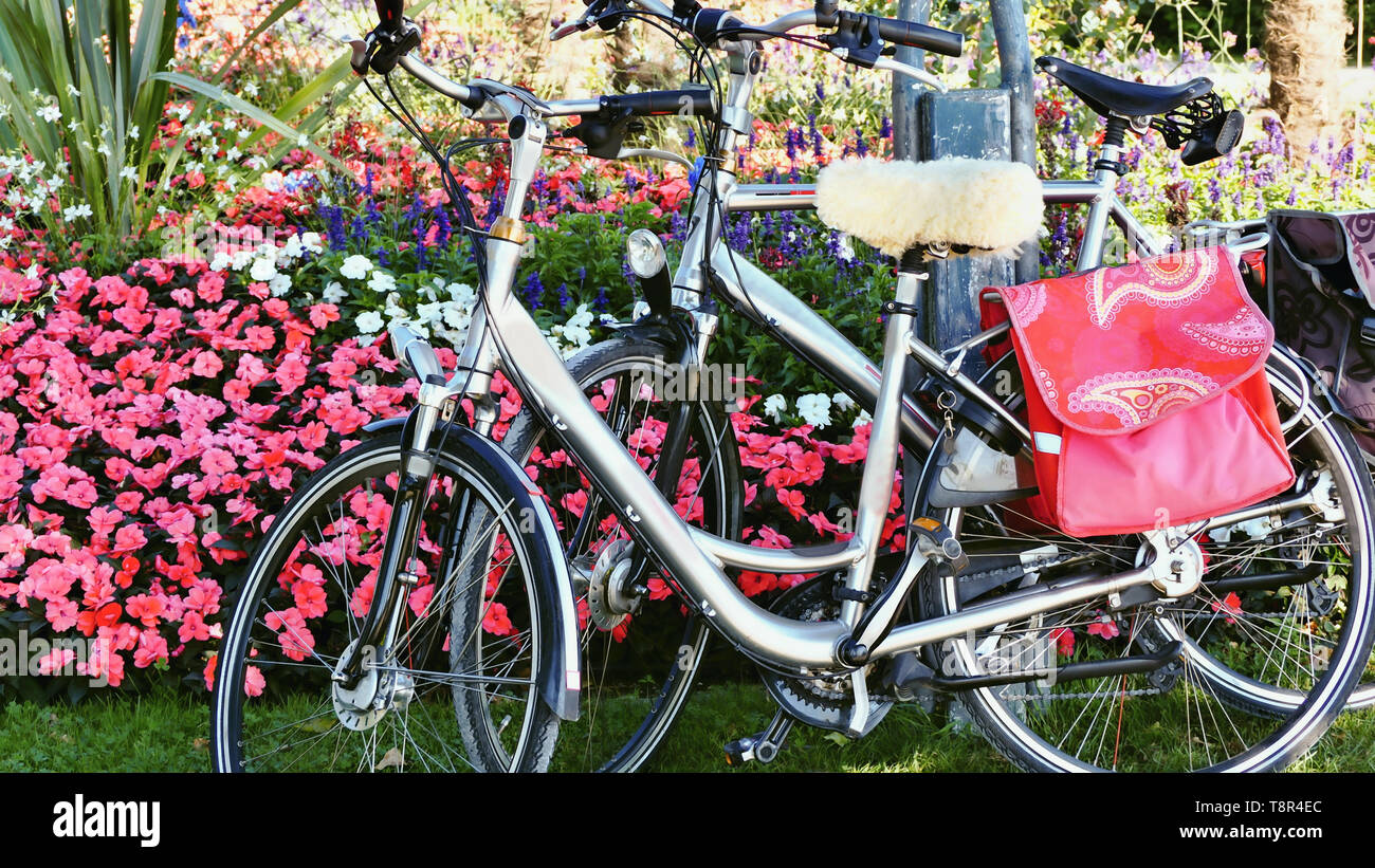 Due biciclette argento magra contro una fitta siepe floreali di rosa luminoso e molti fiori coloratissimi fiori di primavera su un molto fresco e verde prato. Il fron Foto Stock