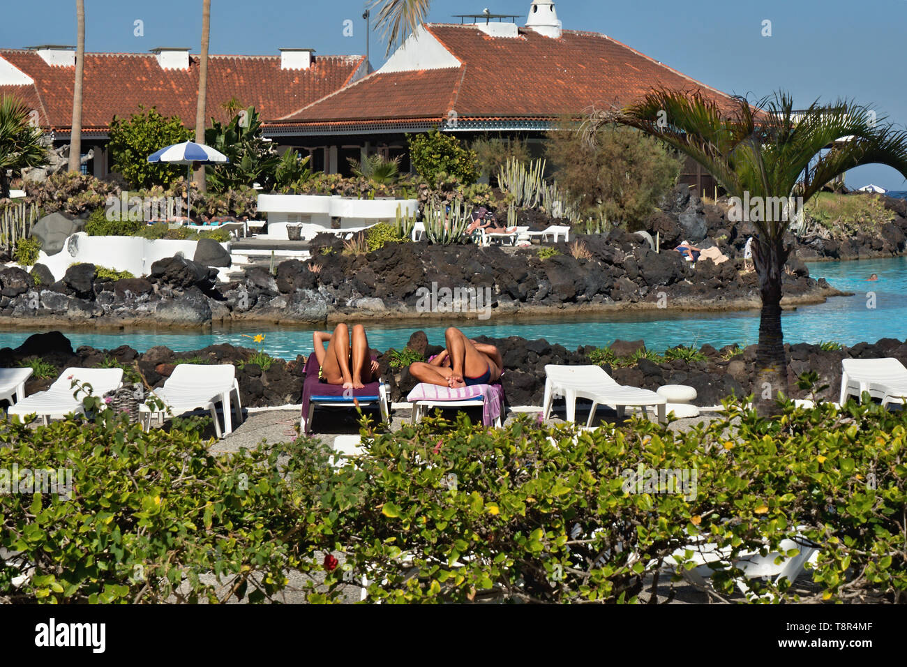 Una piscina in un giardino paesaggistico su due del bianco le sedie a sdraio sono turistiche, le gambe piegate ad alta, non vi è nessuna identità per riconoscere. , Blu cielo Foto Stock