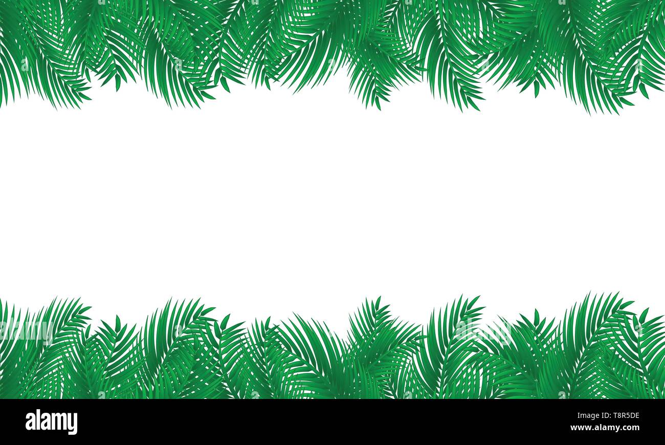 Di foglie di palma telaio. Design tropicale su bianco isolato sfondo. Illustrazione Vettoriale