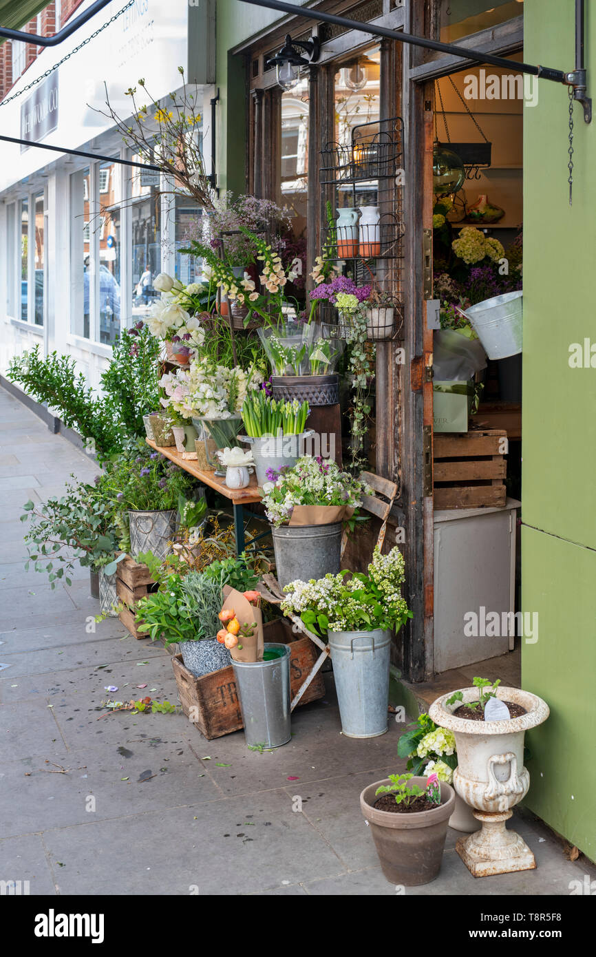 Il vero fiore azienda shop in cale Street, a Chelsea, Londra, Inghilterra Foto Stock