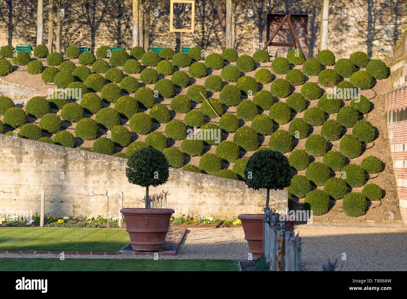 Francia, Indre et Loire, la Valle della Loira sono classificati come patrimonio mondiale dall' UNESCO, Amboise, castello di Amboise, i giardini del castello di Amboise Foto Stock