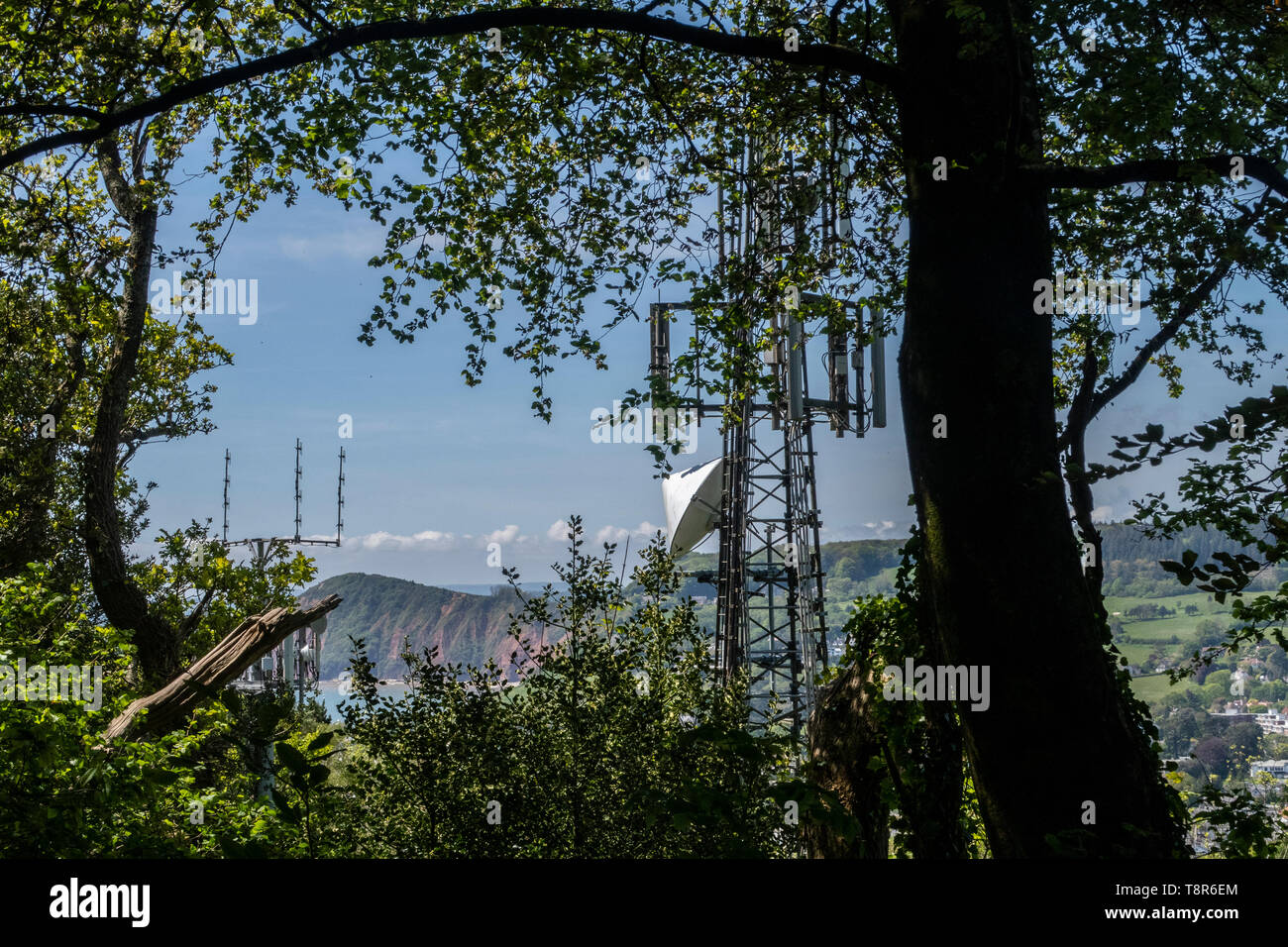 Vista guardando ad antenne di telefonia mobile nel mezzo di alberi in legno di pagina, sulla collina di soldati, a est di Sidmouth, Devon, Regno Unito Foto Stock