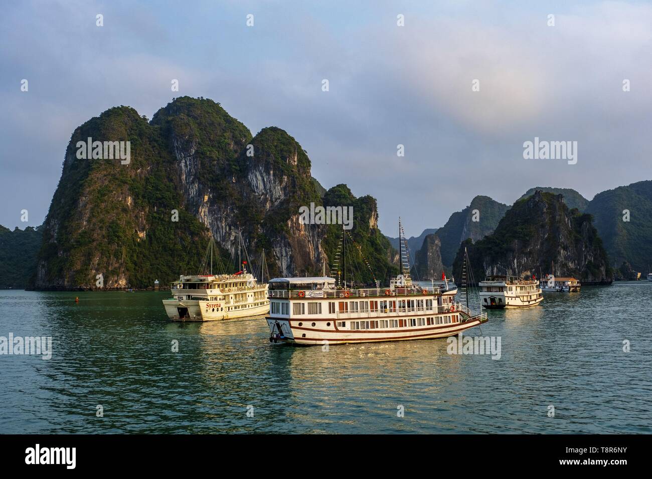Il Vietnam, Golfo del Tonchino, Quang Ninh provincia, la baia di Ha Long (Vinh Ha Long) elencati come patrimonio mondiale dall' UNESCO (1994), iconico paesaggio del Carso landforms, navi da crociera Foto Stock