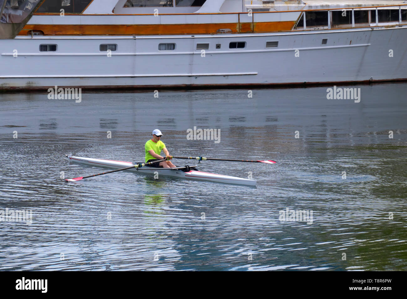 Un maschio solitario sculling la sua barca attraverso la baia della marina a Stanley Park, Vancouver, British Columbia, Canada. Una barca è in background. Foto Stock