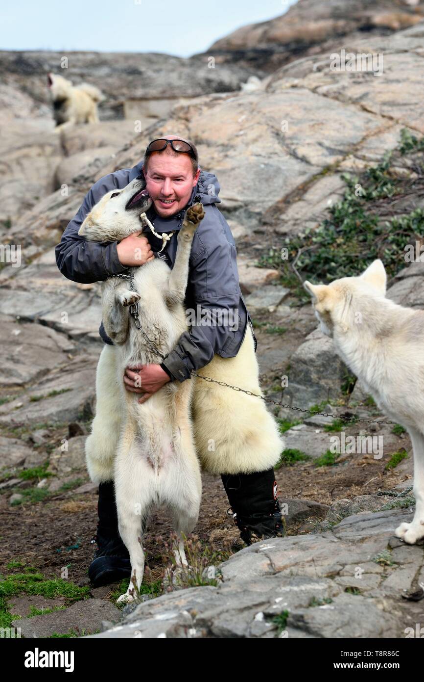 La Groenlandia, Costa Ovest, Uummannaq, lo Sled Dog allevatore Malti Suulutsun orso che indossa pantaloni di pelle Foto Stock