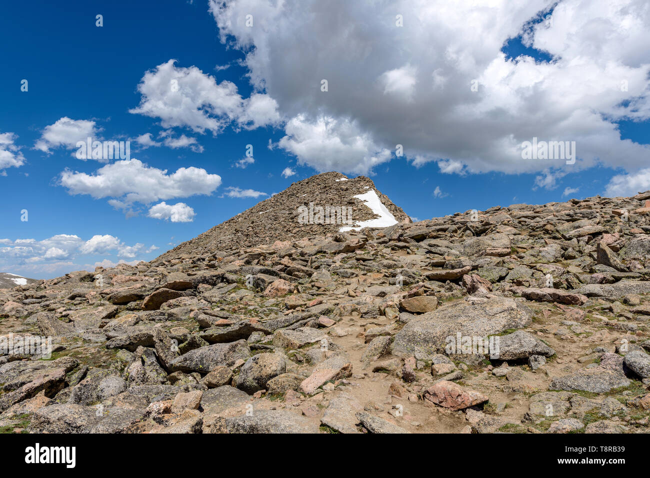 Cima di Mount Bierstadt - è ultimo a poche centinaia di metri prima di raggiungere la vetta del Monte Bierstadt, 14,065 ft, Front Range delle Montagne Rocciose, CO, Stati Uniti d'America. Foto Stock