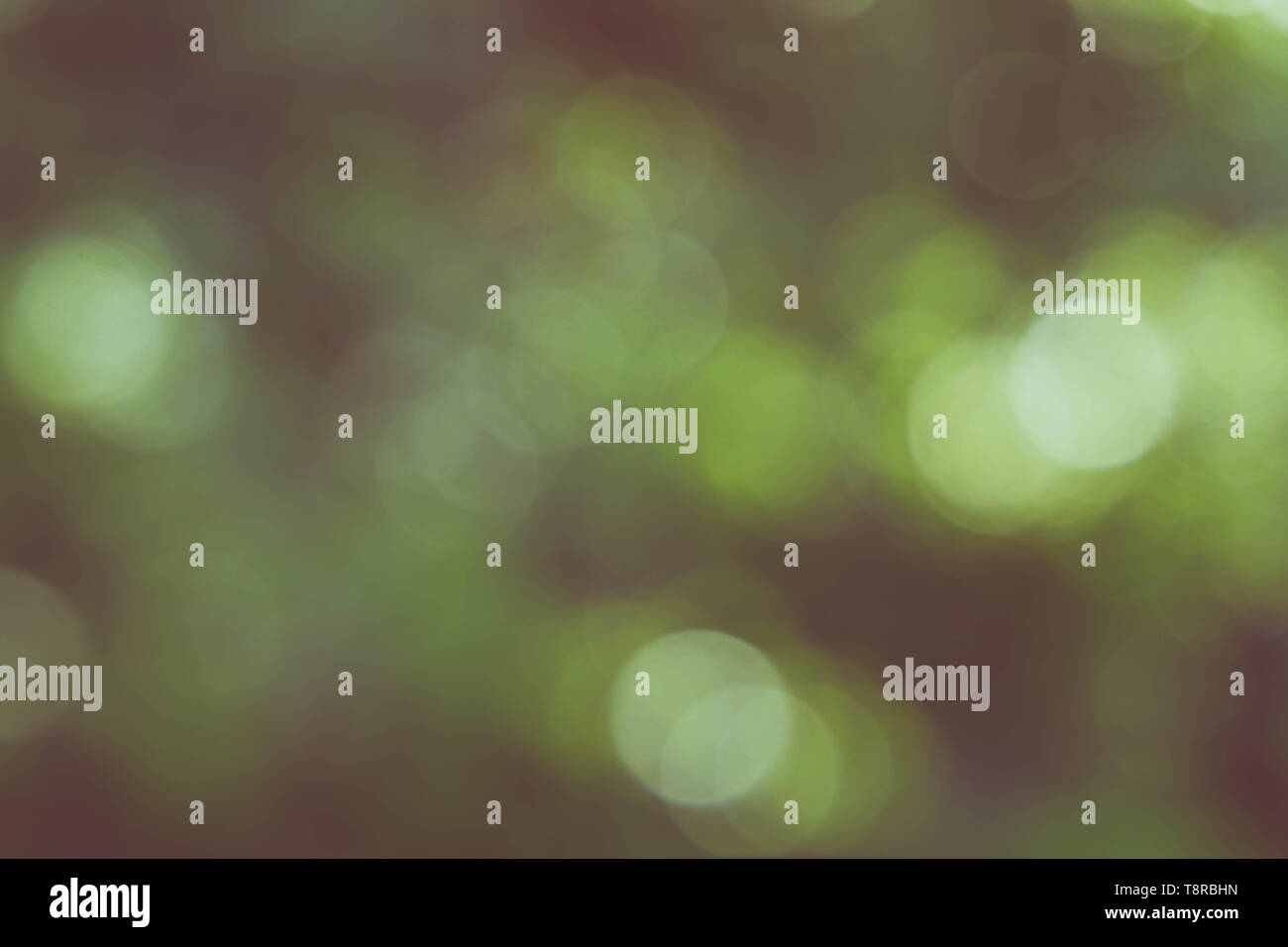 Green look retrò sfondo bokeh di fondo Foto Stock