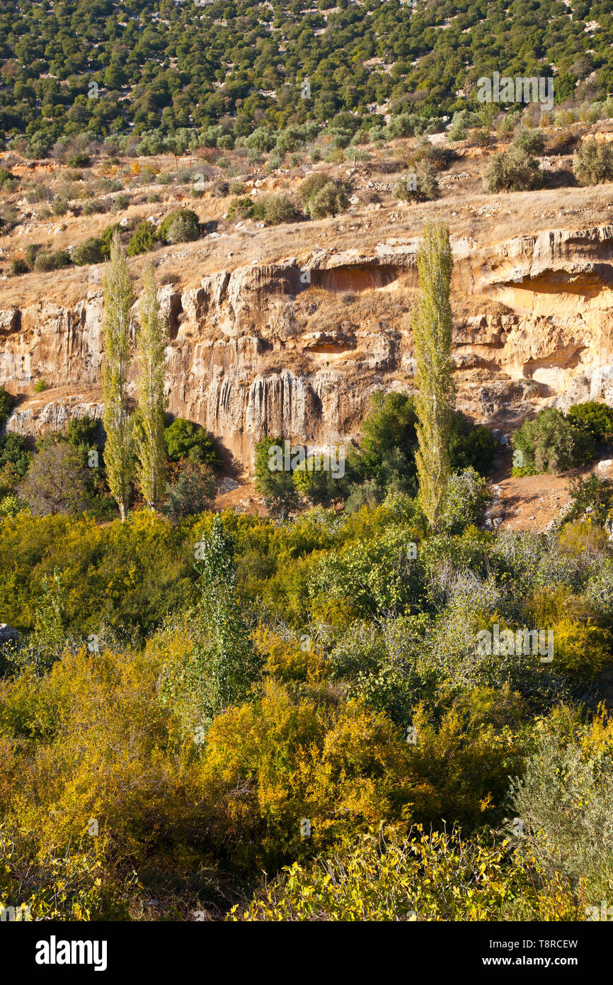 La Valle de Ajloun. Jordania, Oriente Medio Foto Stock