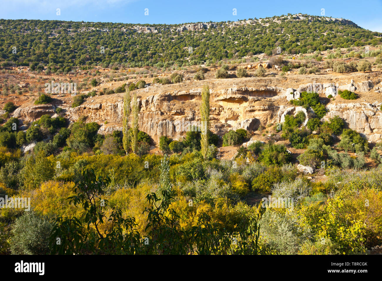 La Valle de Ajloun. Jordania, Oriente Medio Foto Stock