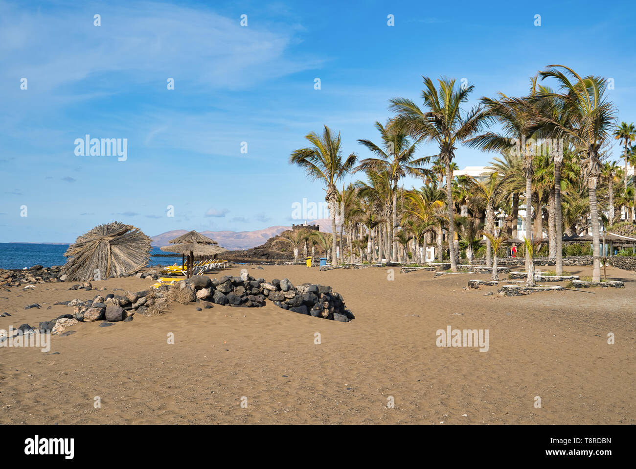Lanzarote, Isole Canarie, Spagna. Provincia di Las Palmas. Sabbiosa spiaggia vulcanica. Le pietre sulla sabbia, coltivazione di palme, lettini da sole e ombrelloni. Il riposo Foto Stock