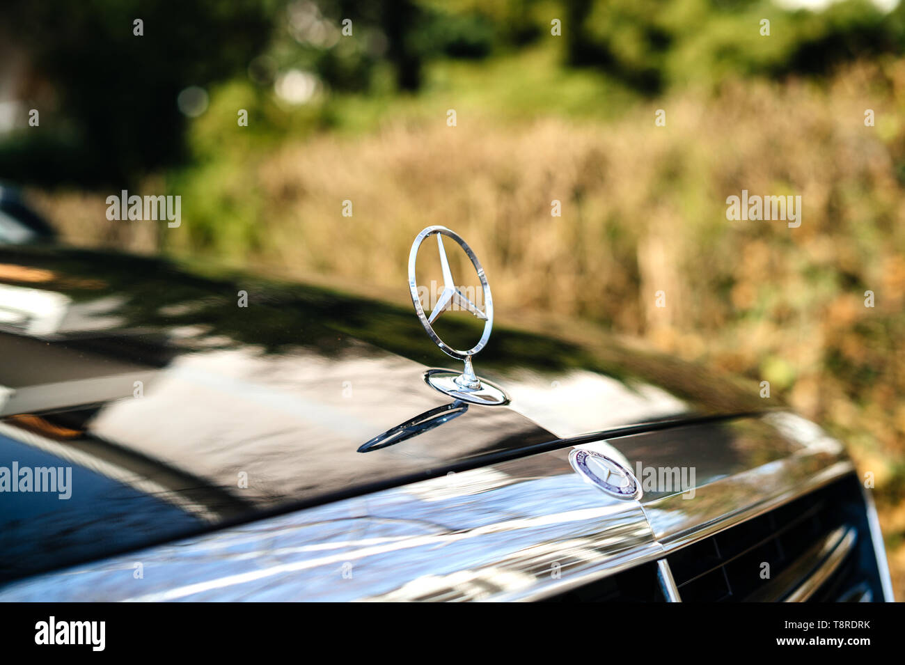 Parigi, Francia - Feb 23, 2017: vista laterale di forma a stella logotipo per marchio Mercedes-Benz sul nuovo shiny S Klass auto Foto Stock