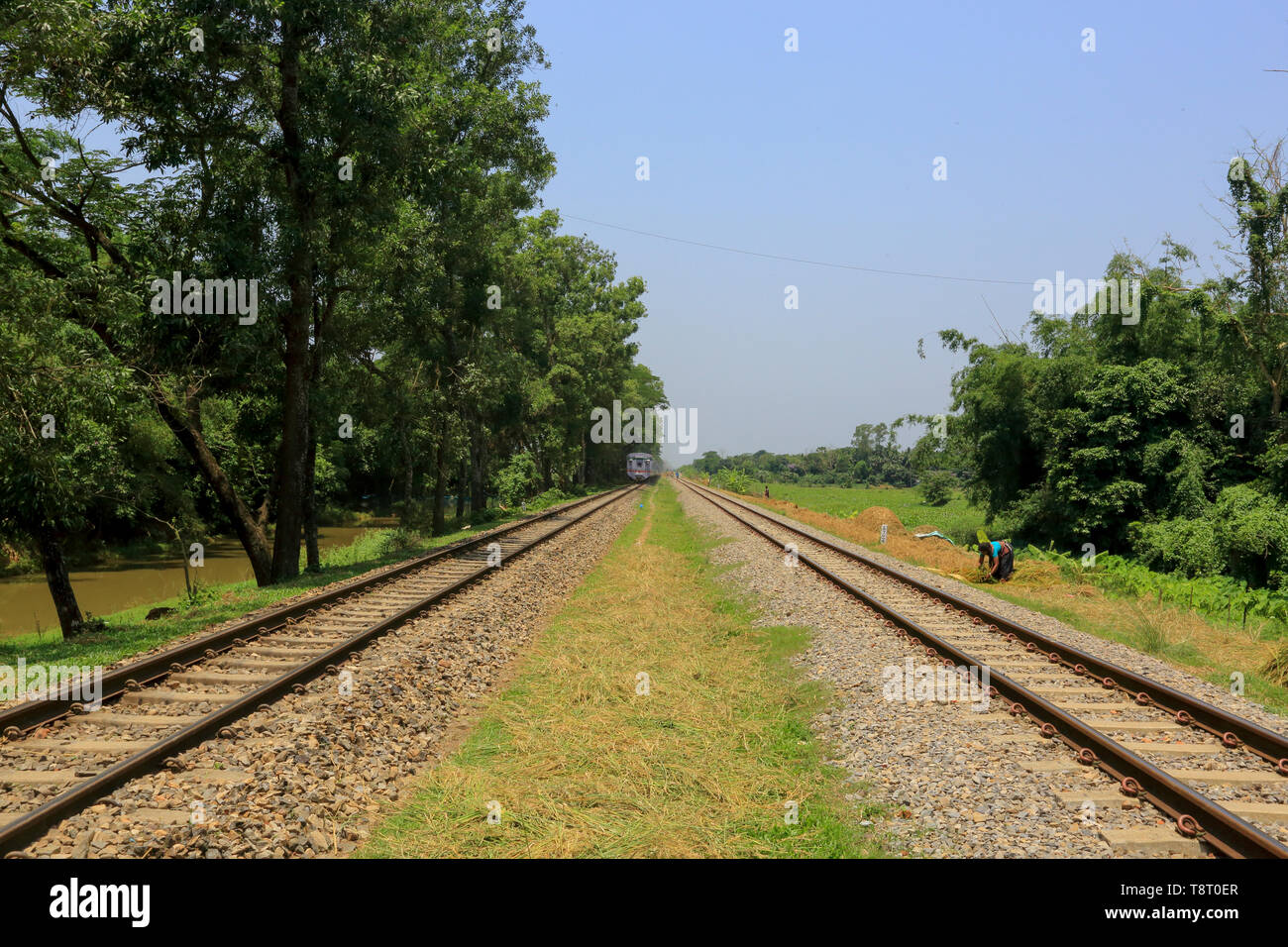 Il Dhaka-Chittagong doppio binario della ferrovia a Narsingdi, Bangladesh Foto Stock