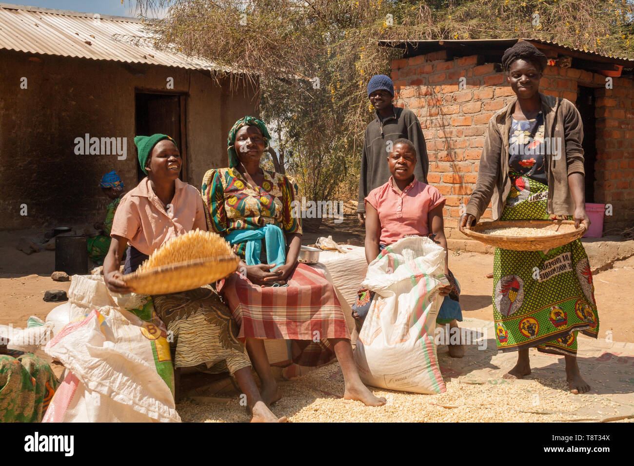 Donna malawiana riposo da spulatura mais come si preparano il mais per l'insacco al di fuori di una capanna di fango in un villaggio vicino a Foto Stock