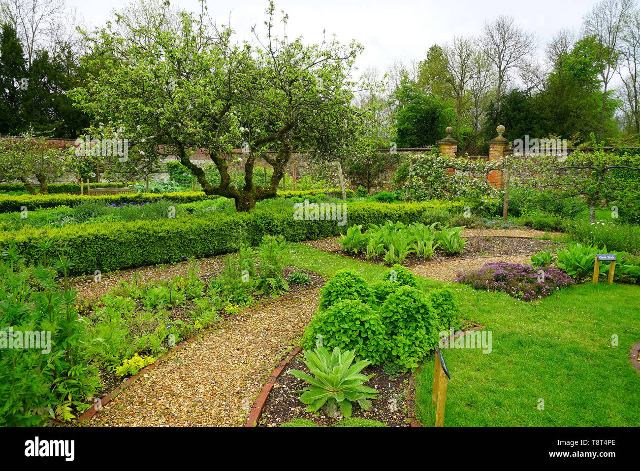 Il giardino murato a Chawton House Foto Stock