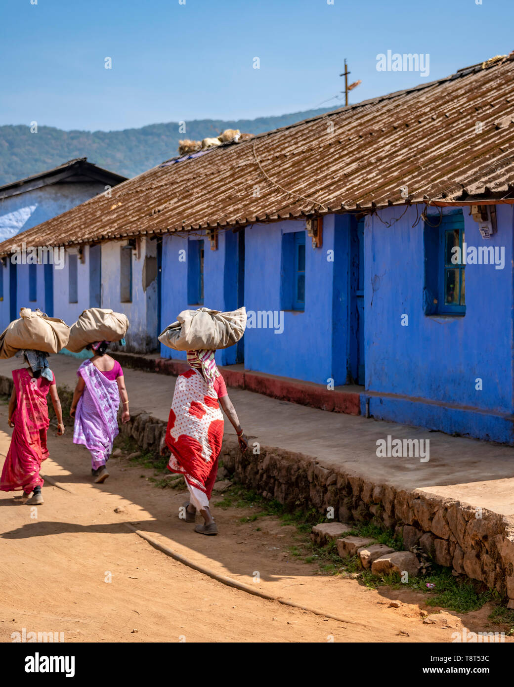 Vista verticale di una piantagione di tè villaggio in Munnar, India. Foto Stock