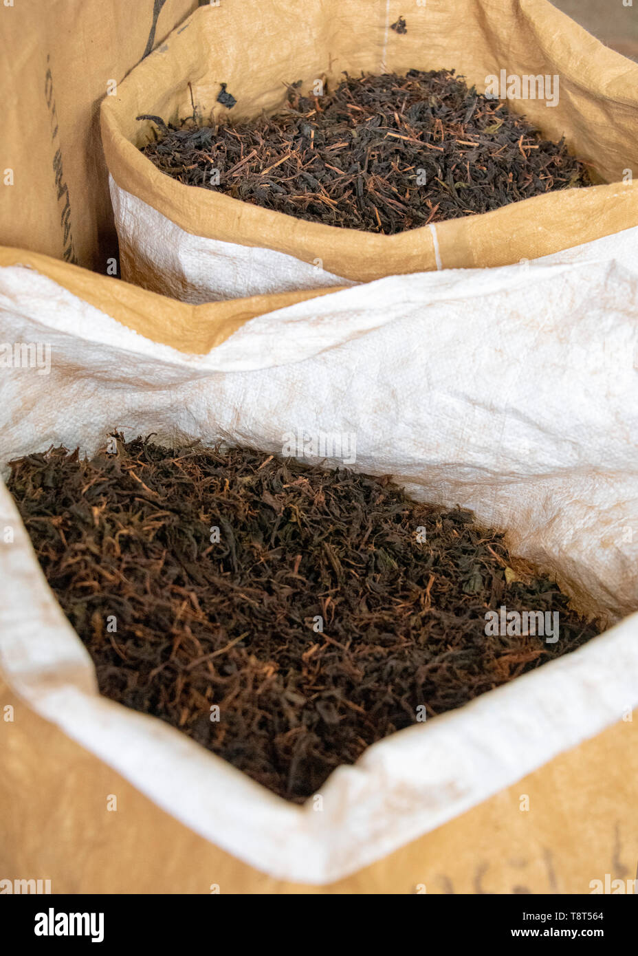 Chiudere verticale di Tè sfuso alla fine della linea di produzione di una fabbrica di tè in Munnar, India. Foto Stock