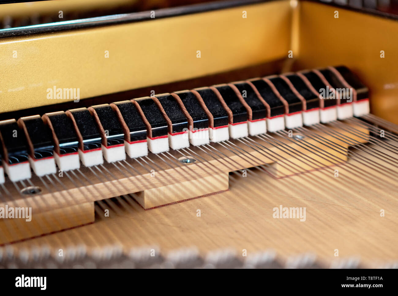 Interno del pianoforte. Martelli e stringhe. Foto Stock