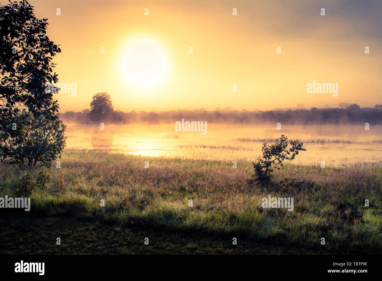 Alba sul lago African savannah nel parco nazionale durante l'avventura in campeggio in Malawi Foto Stock