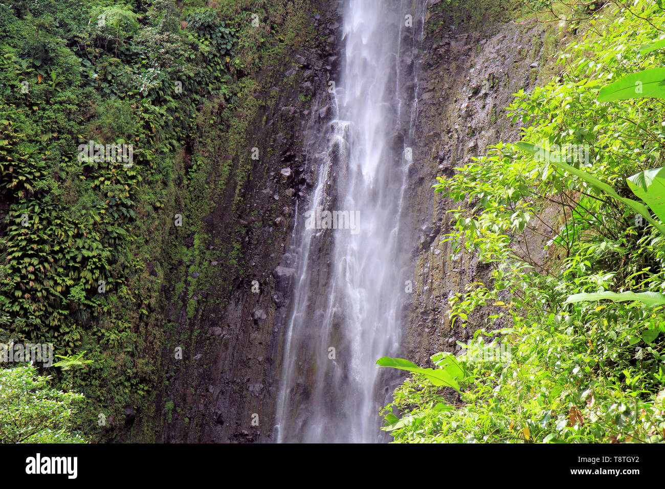 Carbet Falls, Parco Nazionale della Guadalupa, Basse-Terre, nelle isole dei Caraibi, Francia Foto Stock