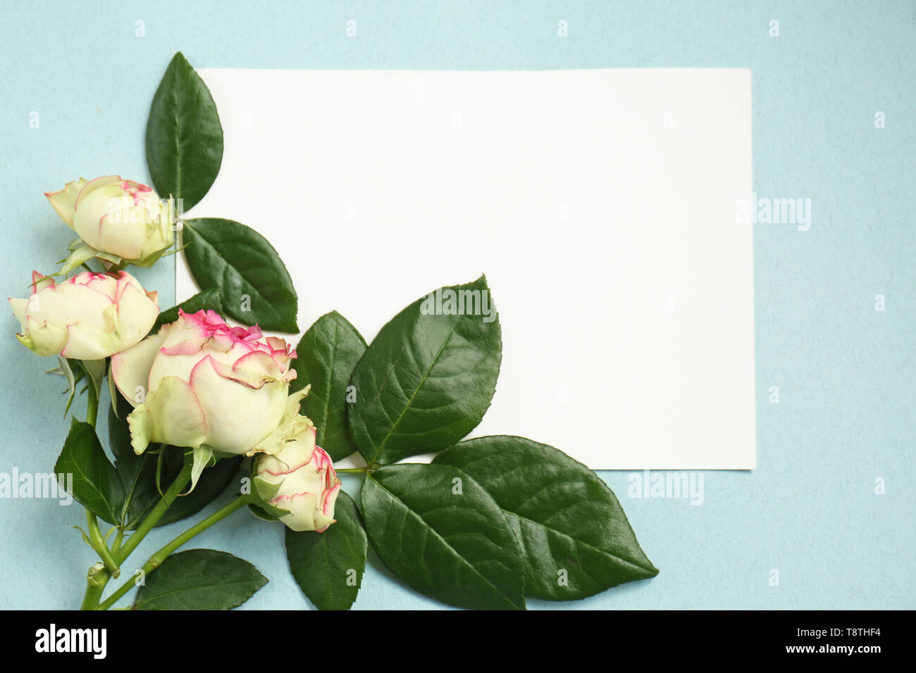 Composizione con bellissimi fiori e la scheda vuota sul colore di sfondo Foto Stock