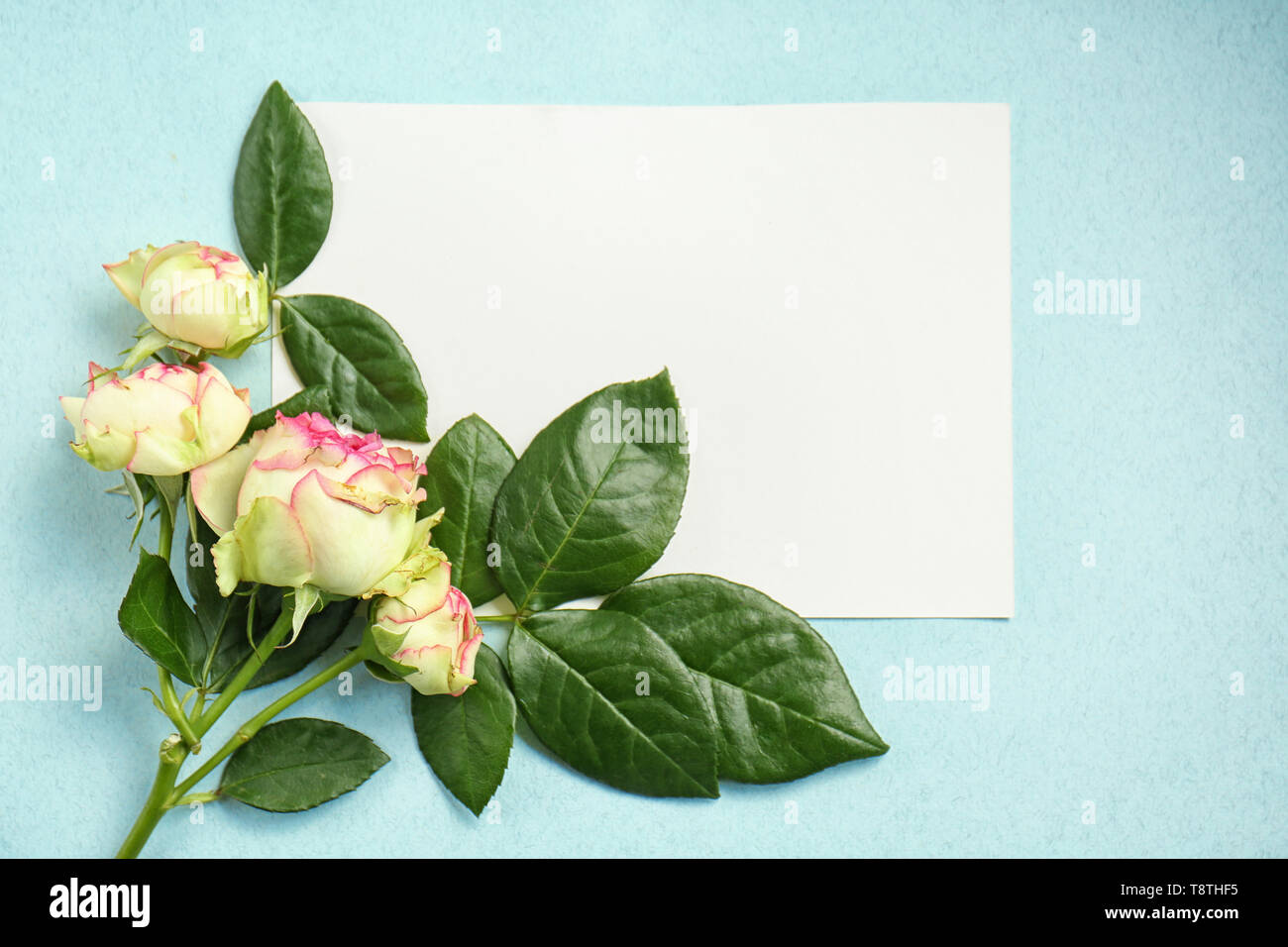 Composizione con bellissimi fiori e la scheda vuota sul colore di sfondo Foto Stock