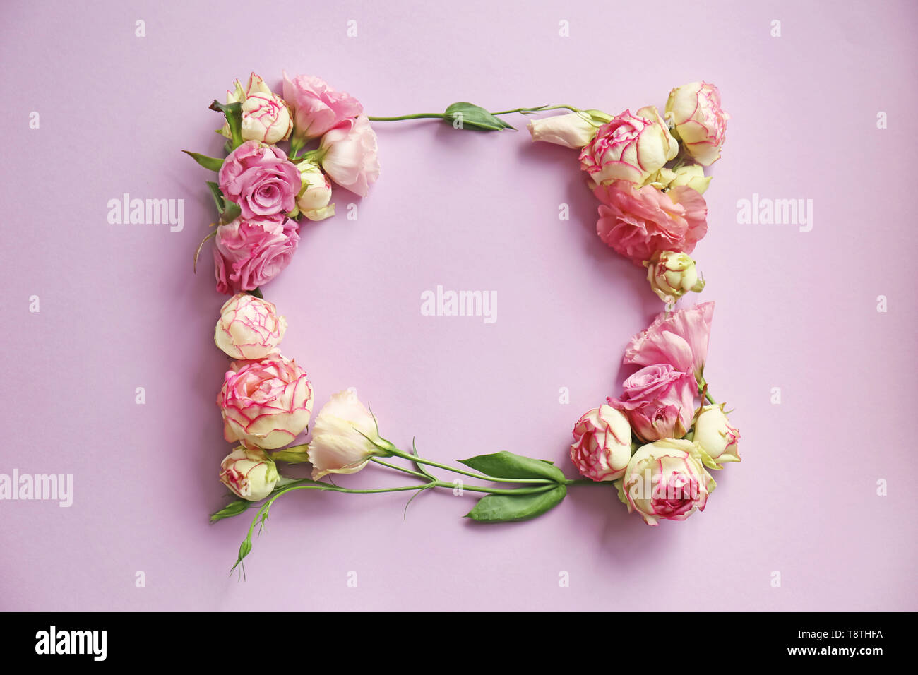 Cornice fatta di bellissimi fiori sul colore di sfondo Foto Stock