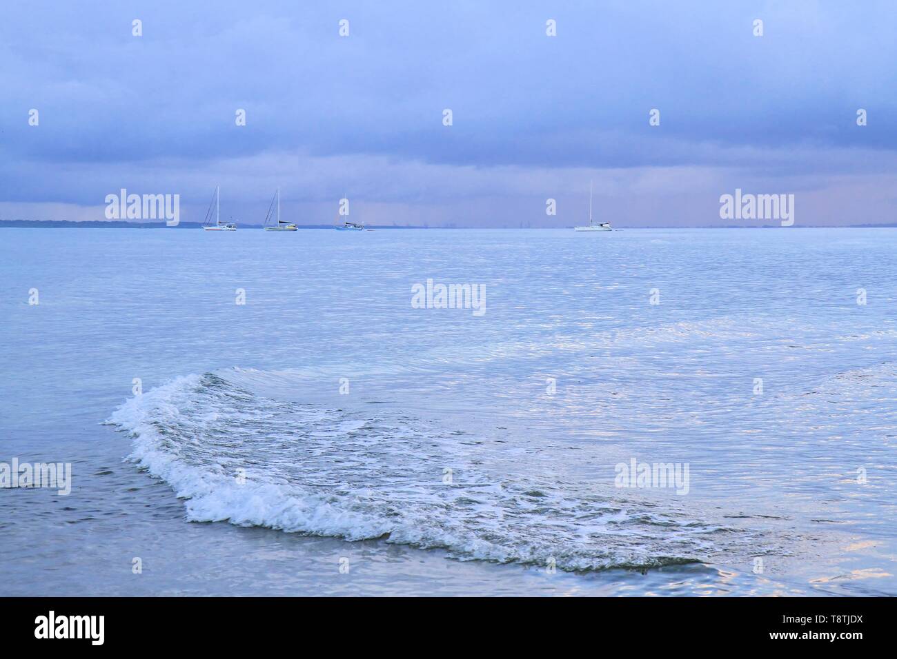 Monocromatico oceano tempestoso paesaggio, Guadalupa, isole dei Caraibi, Francia Foto Stock