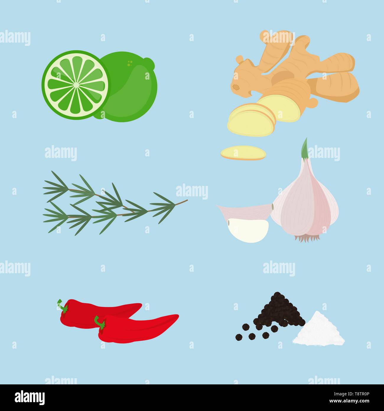 Ortaggi per la stagionatura. Erbe e verdure utilizzate in cucina di stagione cibo. Lime, lo zenzero, il ramo di rosmarino, aglio, peperoncino, pepe nero e sal Illustrazione Vettoriale